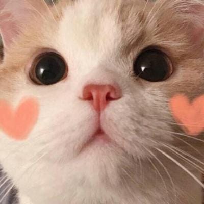 یونس خان avatar