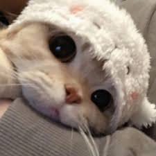 وسیم ندیم avatar